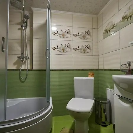 Vila у кіри Slavske