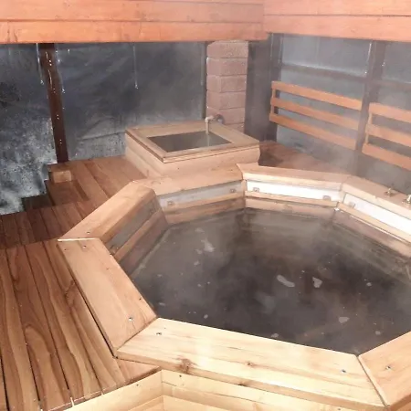 Vila у кіри Slavske